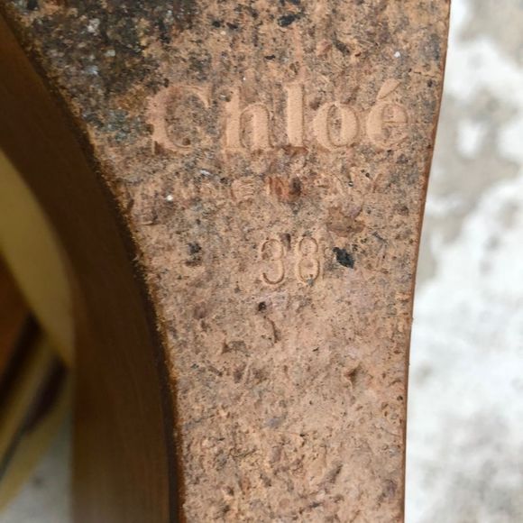 Chloe - Picture 5 of 5